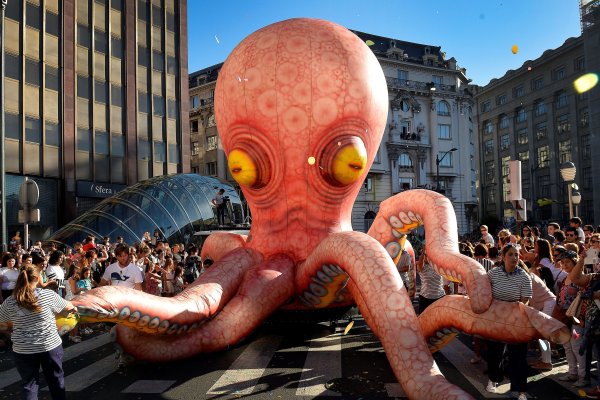 Kraken рабочий