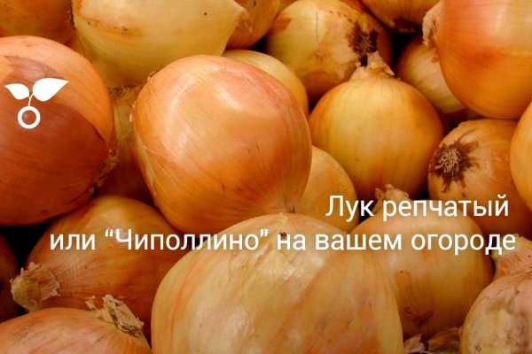 Кракен маркетплейс ссылка krakenat2krnkrnk com